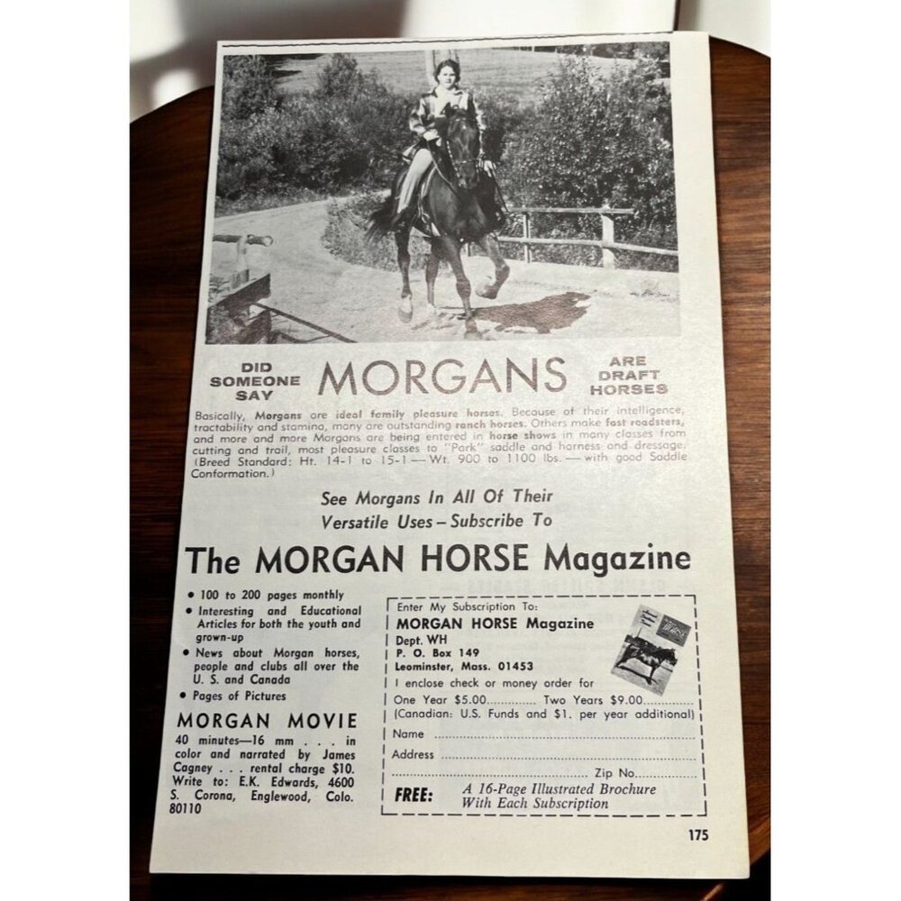 Morgan Horse Magazine Vintage Print Ad 1970s Draft Horses Riding Equine
